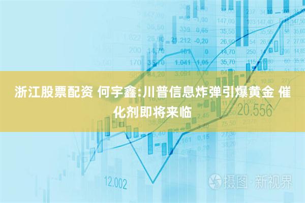 浙江股票配资 何宇鑫:川普信息炸弹引爆黄金 催化剂即将来临