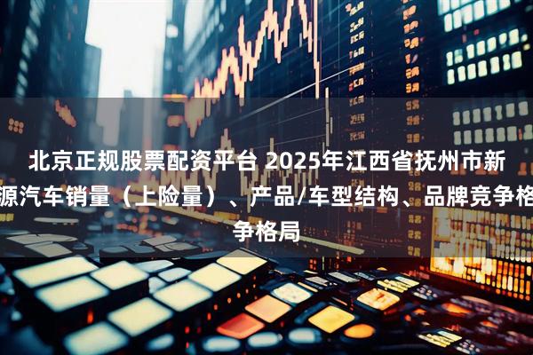 北京正规股票配资平台 2025年江西省抚州市新能源汽车销量（上险量）、产品/车型结构、品牌竞争格局