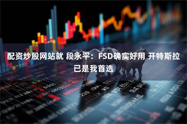 配资炒股网站就 段永平：FSD确实好用 开特斯拉已是我首选