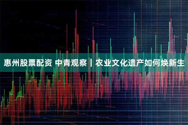 惠州股票配资 中青观察｜农业文化遗产如何焕新生